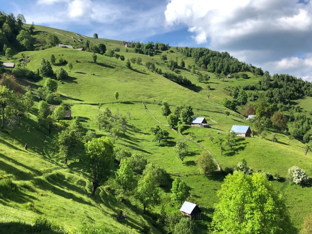 Economia Rurală