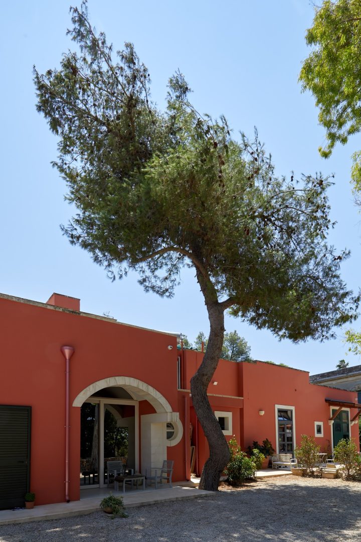 petra country house delivers hospitality with heart in every corner